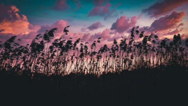 How Databases Store and Retrieve Data with B-Trees