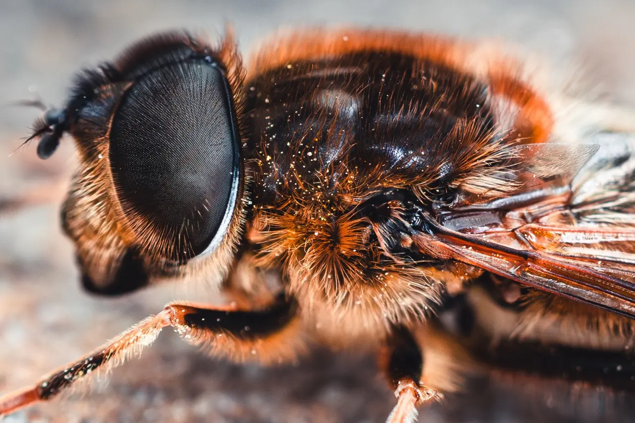 How to Safely Store Secrets in Terraform Using Cloud KMS Blog Luca